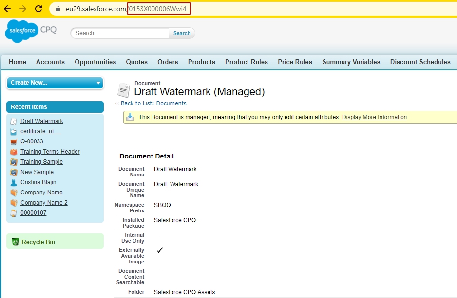 Salesforce Classic Menu Tabs,Recent Items options and Draft Watermark Document Detalis